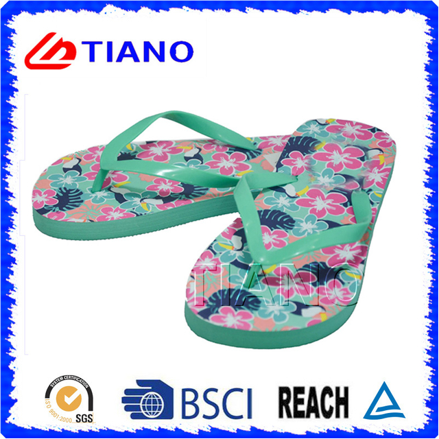 Fashion Flip Flop for Ladies (TNK10002)