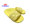 Comfortable Lady slide(TNDL31008)
