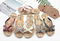 Lady's flip-flop (TNDL0059)